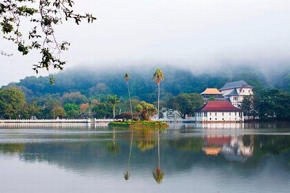 4 Days Tour To Kandy, Nuwara Eliya, Dambulla & Polonnaruwa