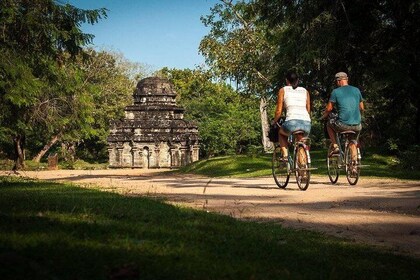 Day Excursion To Ancient City Polonnaruwa
