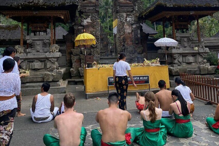 Ubud: Monkey Forest, Water Temple, Rice Terrace, Waterfall