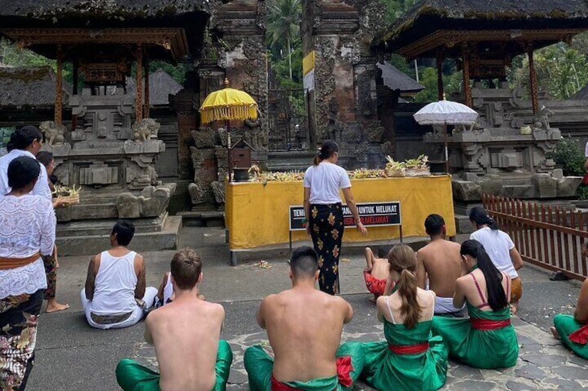 Ubud: Monkey Forest, Water Temple, Rice Terrace, Waterfall