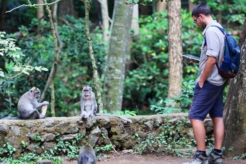 Best Of Ubud with Monkey Forest, Rice Terrace, Temple, Waterfall