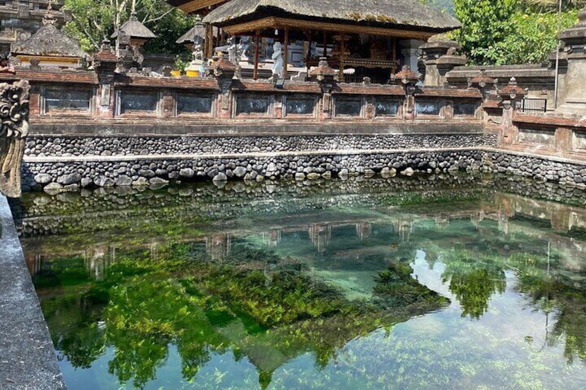 Ubud: Monkey Forest, Water Temple, Rice Terrace, Waterfall