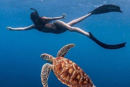 All-Inclusive : 巴厘島藍色湖(Bali Blue Lagoon) 帶午餐潛水,交通