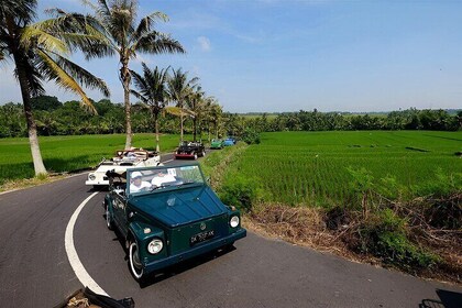 Ubud VW Safari Bali Tour - Volkswagen Classic Car Trip