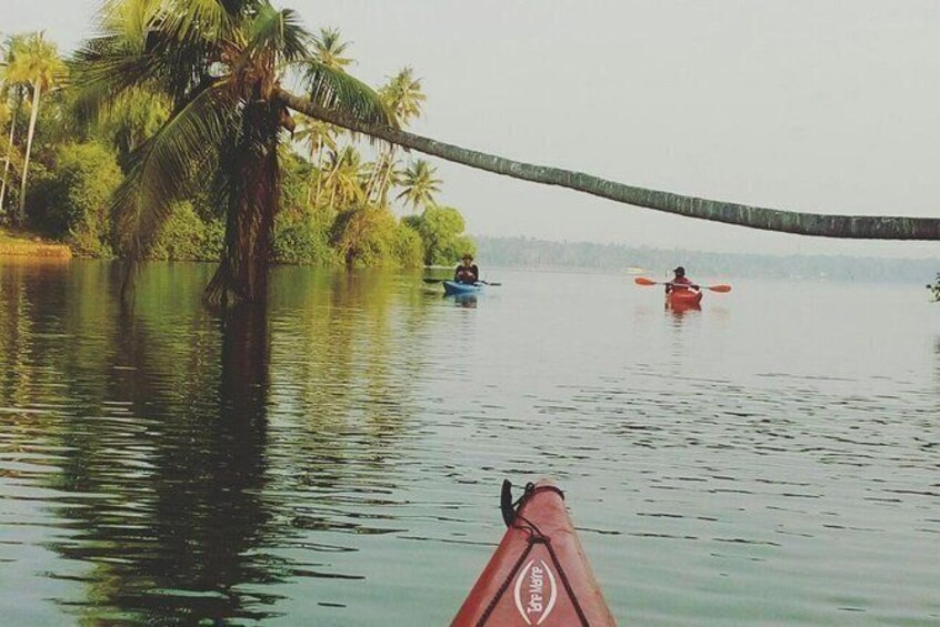 Kayaking in Paravur Backwaters of Kollam