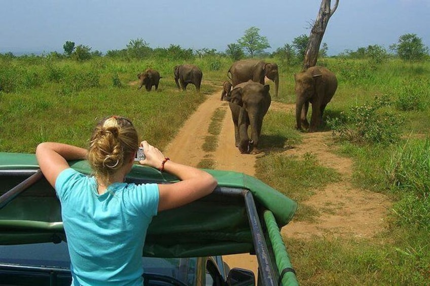 Udawalawe National Park