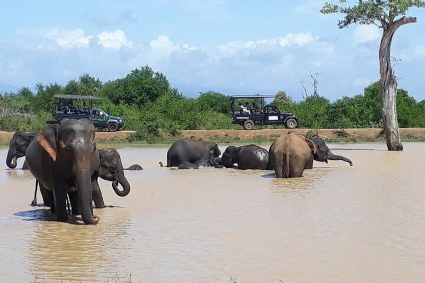 Udawalawe National Park