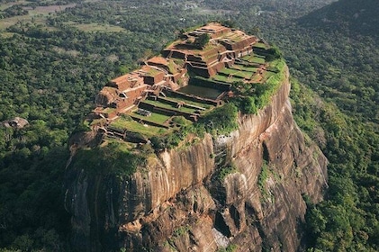 Private day tour to Sigiriya and Dambulla from Colombo