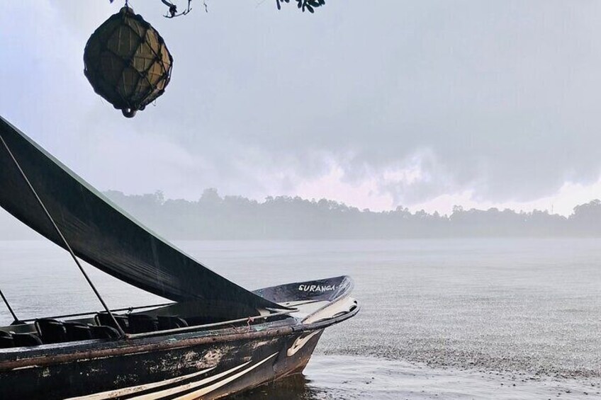 Southern Sri Lanka Sightseeing Day Trip From Colombo & Negombo