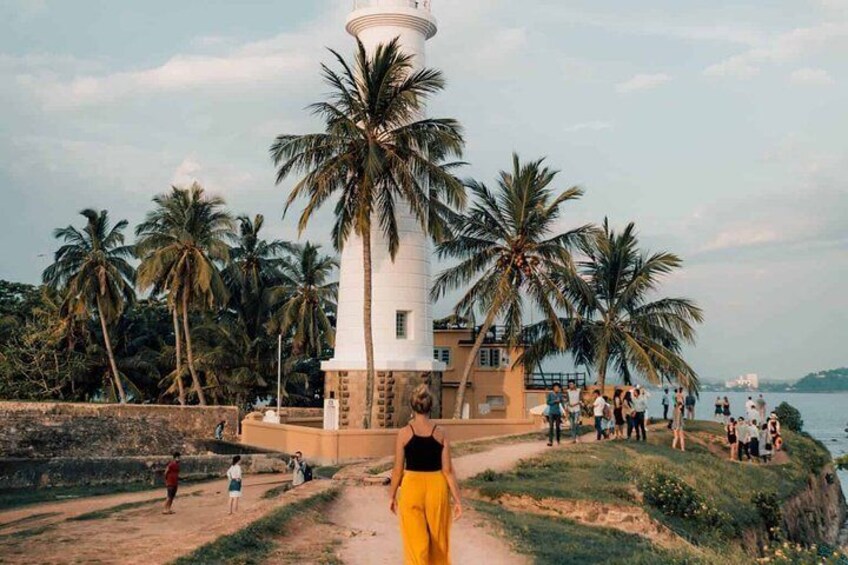 Southern Sri Lanka Sightseeing Private Day Trip From Colombo/Negombo