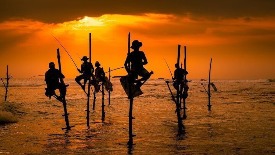 Southern Sri Lanka Sightseeing Private Day Trip From Colombo/Negombo