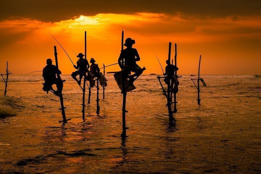 Southern Sri Lanka Sightseeing Private Day Trip From Colombo/Negombo