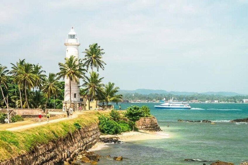 Day Trip to Galle Fort / Sea Turtles and Whale Watching From Colombo.