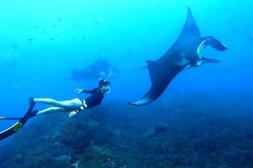 Snorkeling in Nusa Penida Island 1