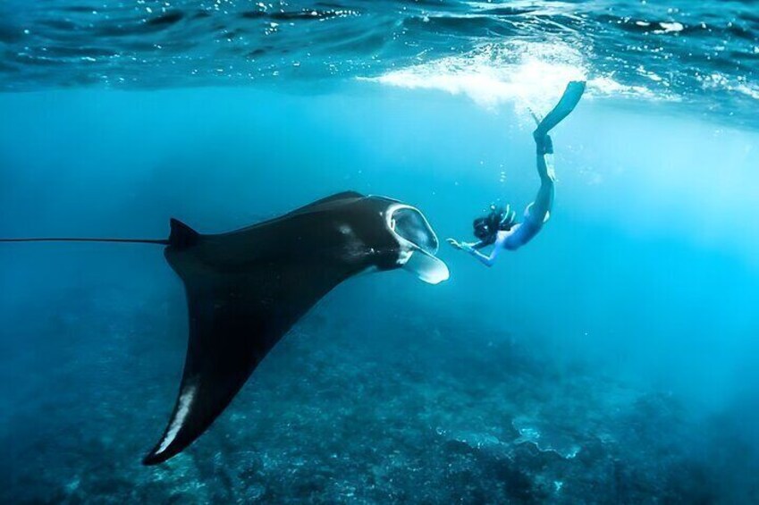 Snorkeling in Nusa Penida Island