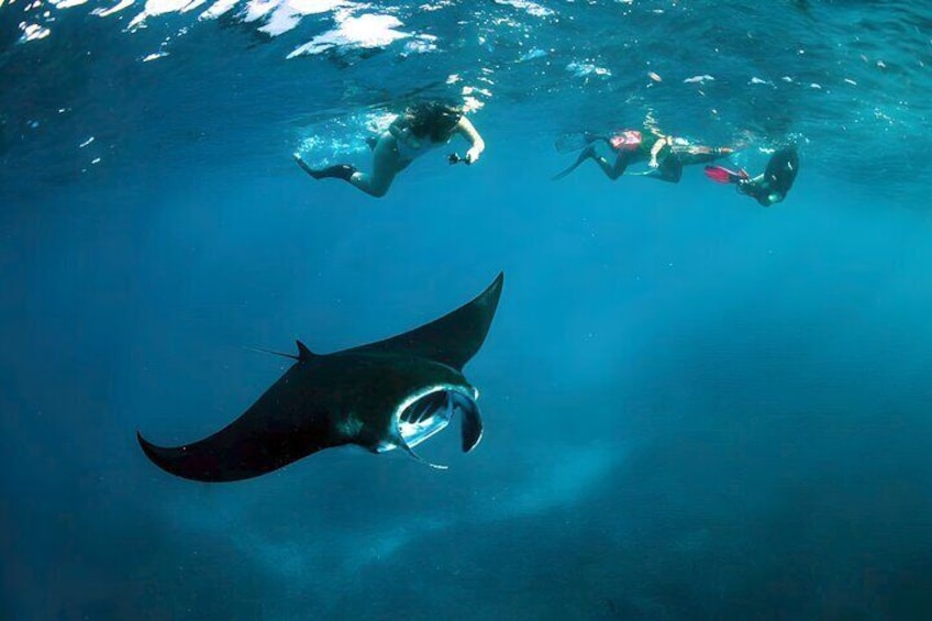 Snorkeling in Nusa Penida Island 2