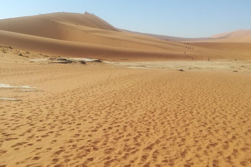 4 day Sossusvlei and Swakopmund Lodging