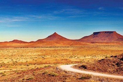 16-Day Namibia Highlights Accommodated Tour