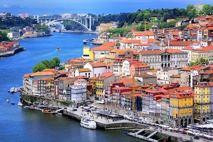 Porto Private Tour from Lisbon with Douro Cruise and Wine Tasting Included