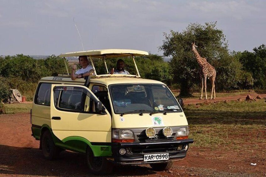 Day Tour Lake Nakuru from Nairobi