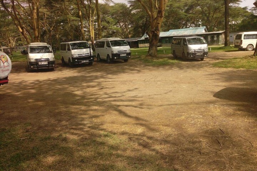 Day Tour Lake Nakuru from Nairobi