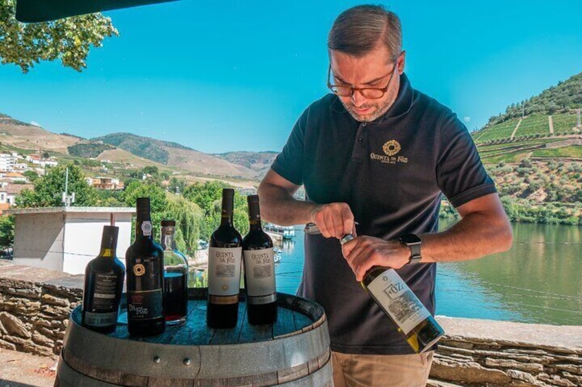 Private Douro Valley Wine Tour: 2 Wine Estates, Lunch and Cruise