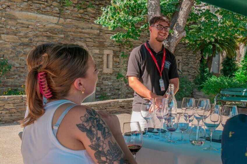 Private Douro Valley Wine Tour: 2 Wine Estates, Lunch and Cruise