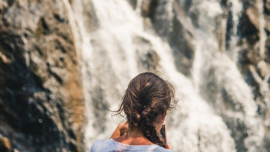 Dudhsagar waterfall wildlife & spice plantation Private Tour