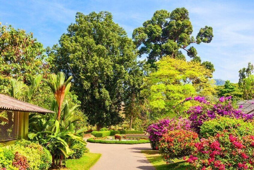 Botanical Garden Godawari