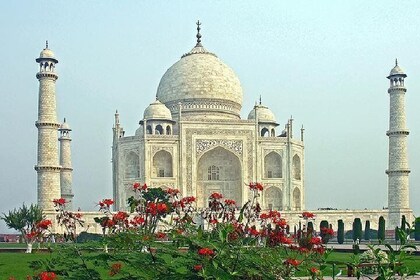 Skip The Line: Sunrise Taj Mahal & Agra Tour from Jaipur With Entry (Option...