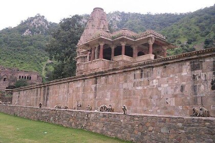 Guided Bhangarh Fort & Abhaneri Step Well's Tour With Dinner