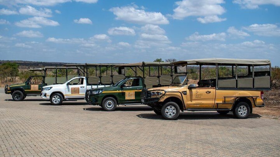Full Day Kruger Safari Tour