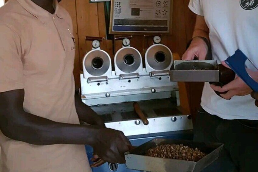 Roasting the beans