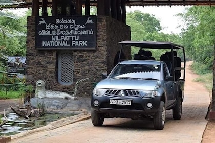 Wilpattu National Park Jeep Safari from Wilpattu