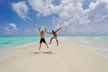 Sandbank Snorkelling and Sunset Cruise