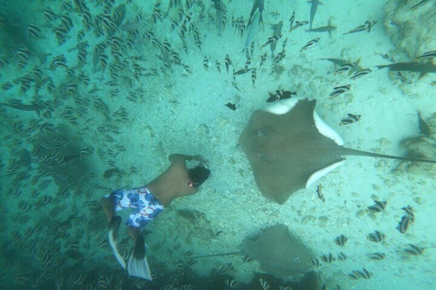 Snorkeling