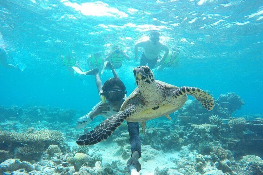 Snorkelling