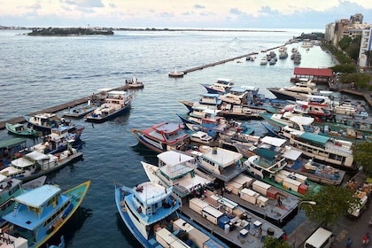 Full Day Male' Walking Tour