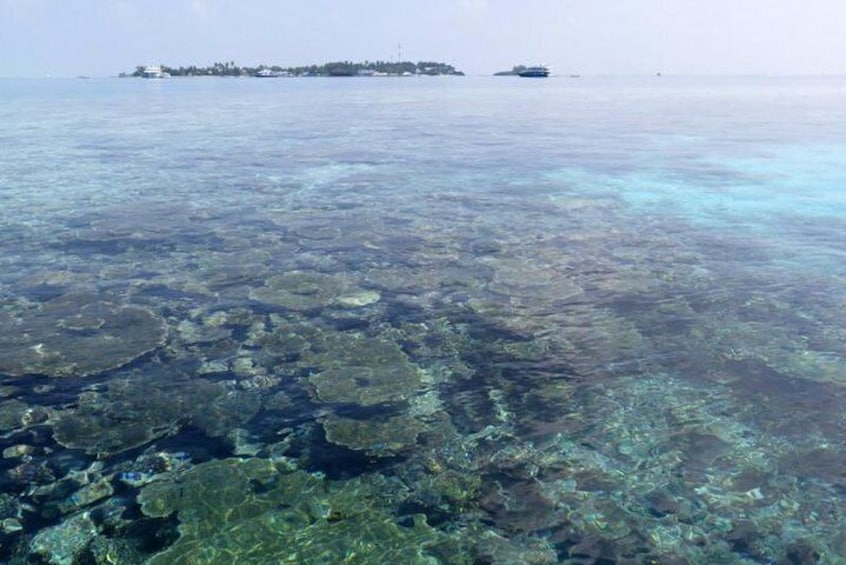 Snorkeling in the Maldives