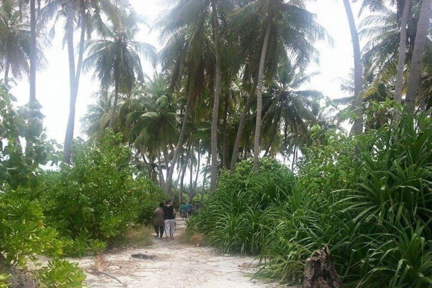 Exploring Local Islands