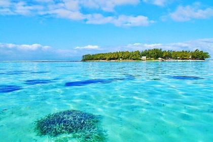 Private Speedboat Island Hopping: Ile aux Cerfs, Lunch, Snorkelling & Trans...