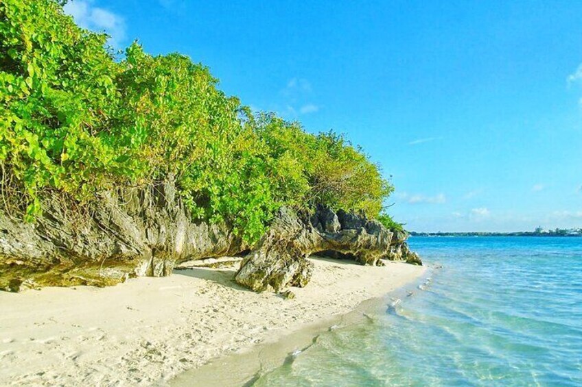 Beach on Ile aux Aigrettes