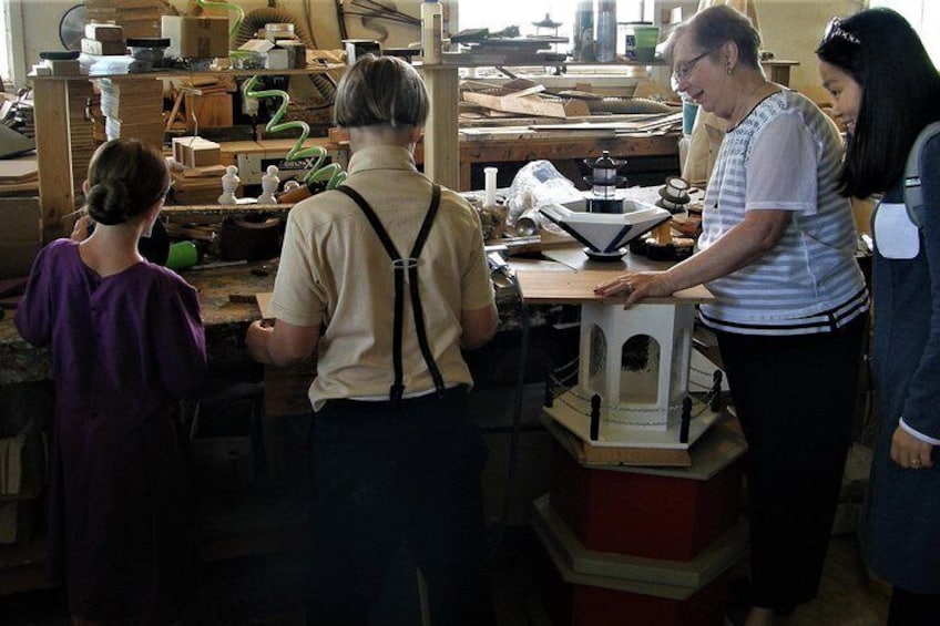 Amish Experience Visit-In-Person Tour