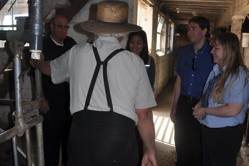 Amish Experience Visit-In-Person Tour