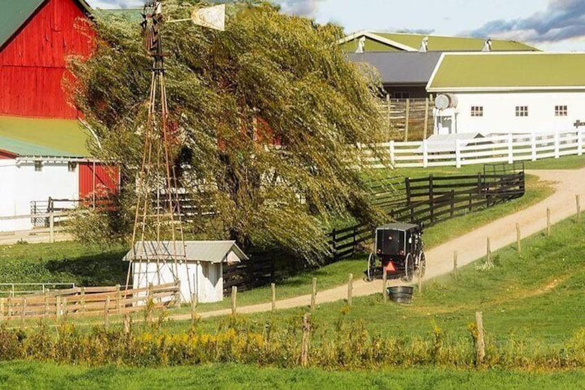 Amish Visit-In-Person Tour