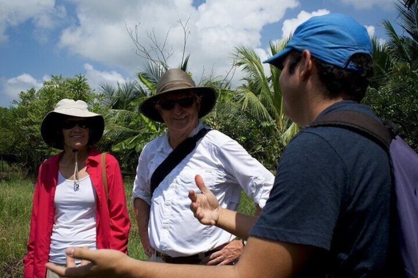 Small Group Guayaquil and Cocoa Farm Full-Day Tour