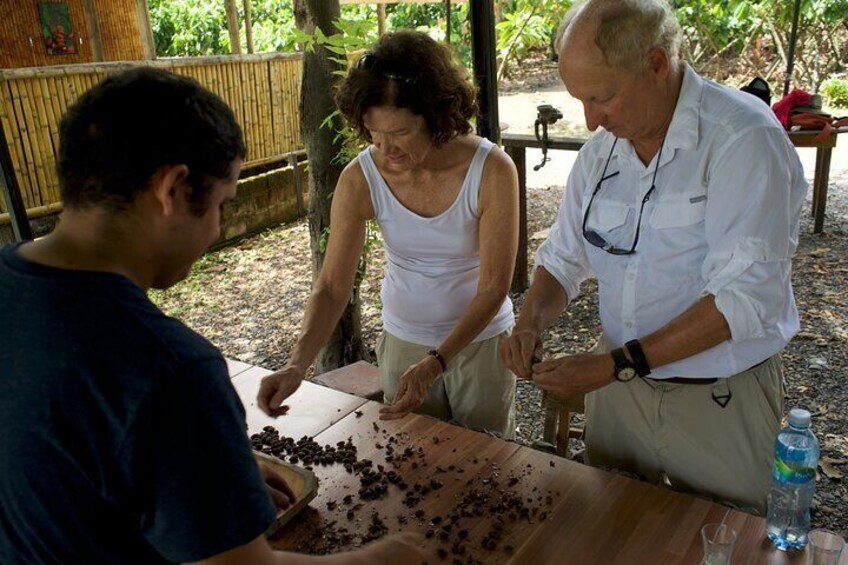Small Group Guayaquil and Cocoa Farm Full-Day Tour