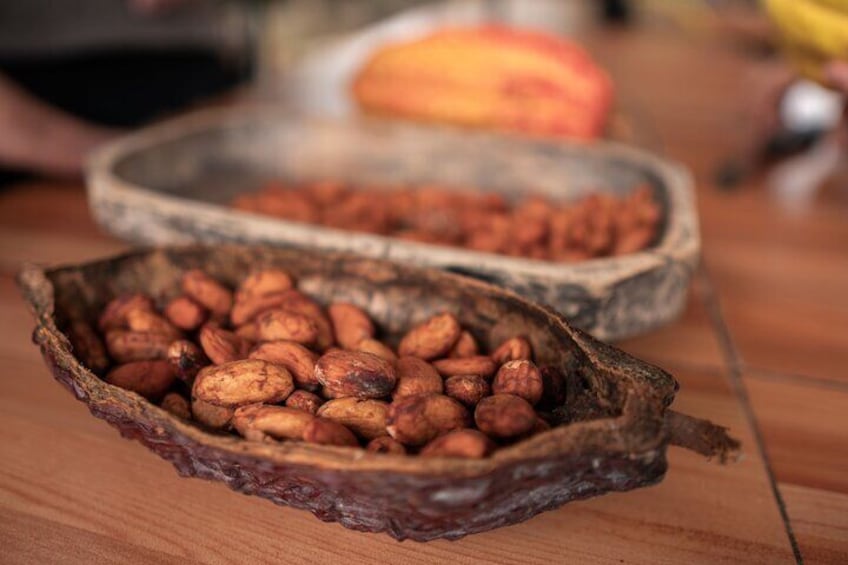 Day Trip Meet Howler Monkeys at Churute & Make Organic Chocolate