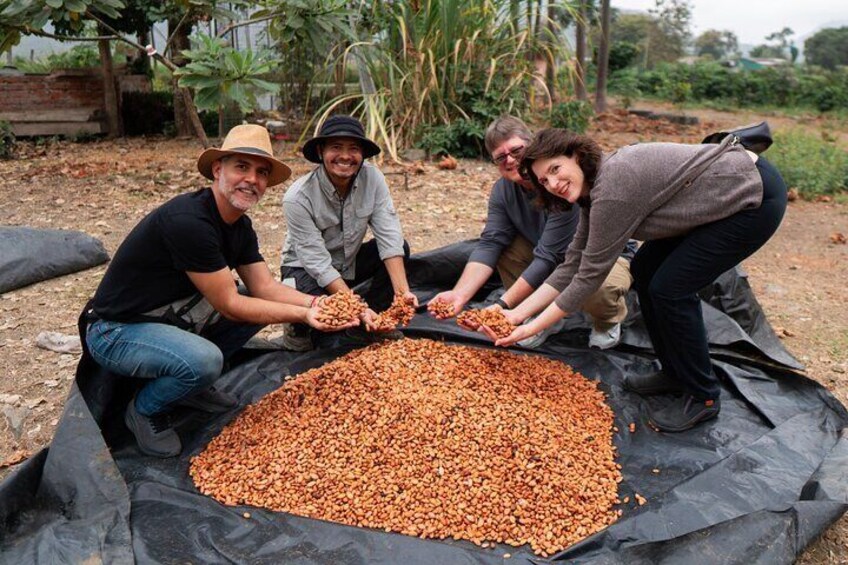 Day Trip Meet Howler Monkeys at Churute & Make Organic Chocolate