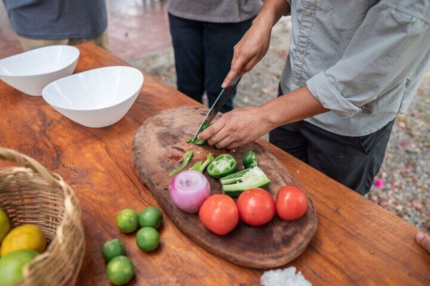 Day Trip Meet Howler Monkeys at Churute & Make Organic Chocolate